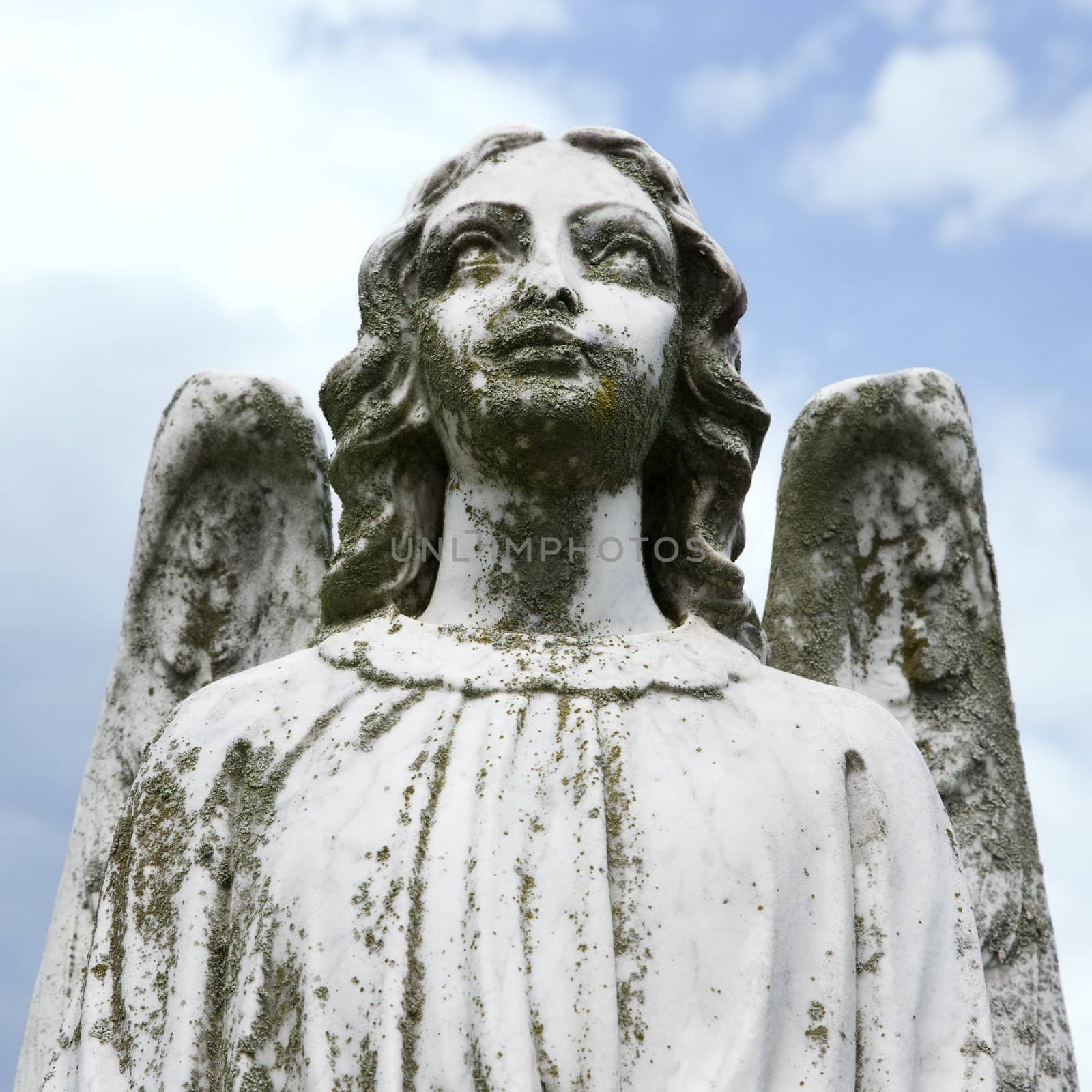 Guardian Angel statue in graveyard.
