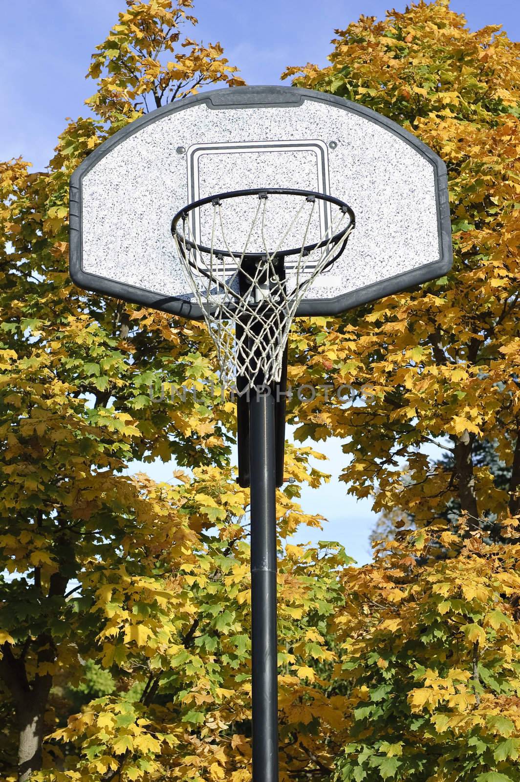 Front lower view of basketball net with yellow maple trees in background