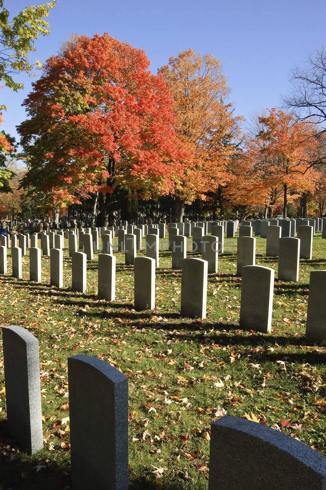 Rows of soldier tombstones on grassy field sprinkled with leaves with red maple trees in background contrasting against blue fall skies