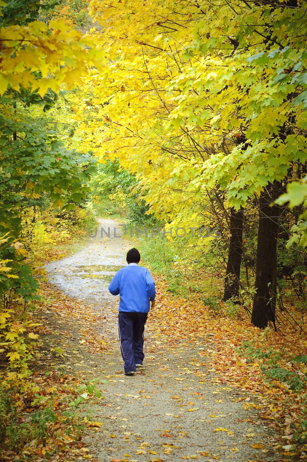 Male jogging towards end of woodland trail in Fall