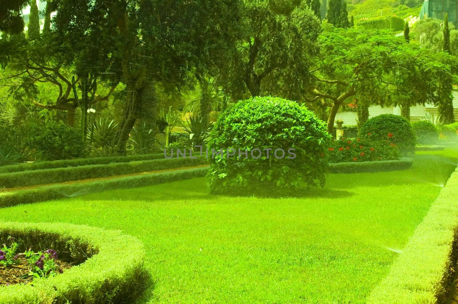 Watering Of Beautiful Green Garden.