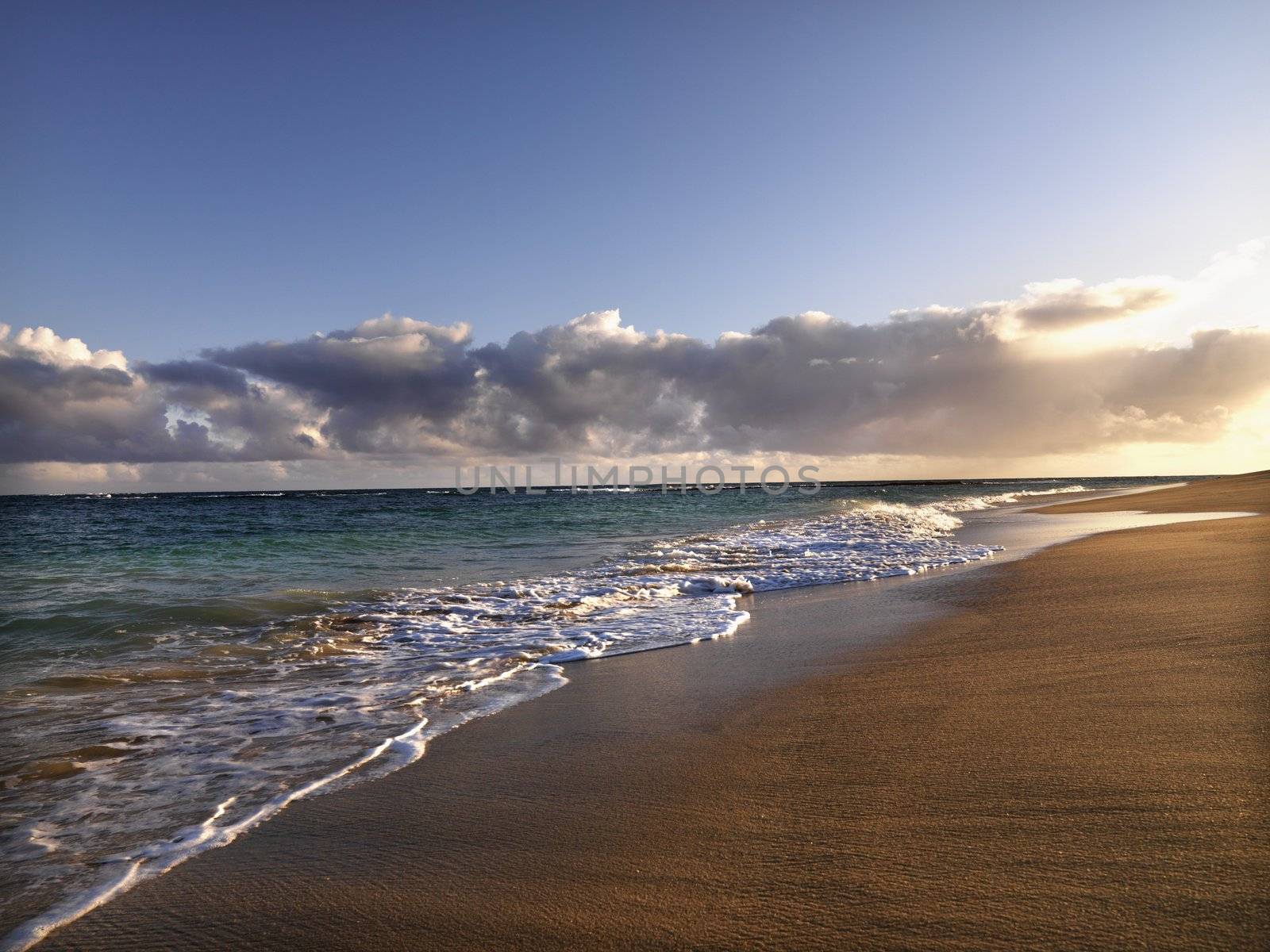 Maui Hawaii beach by iofoto