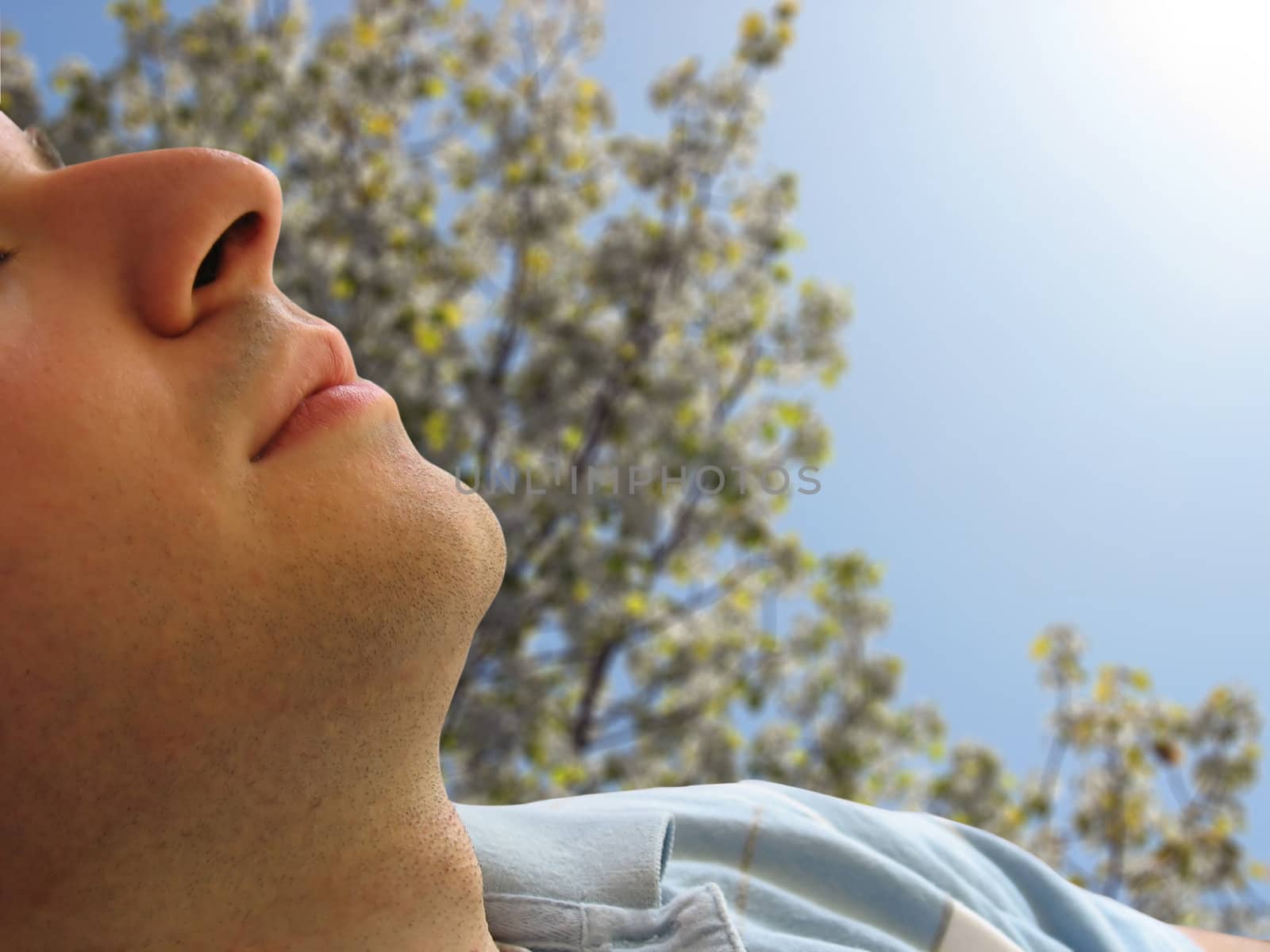 Shot of a man that looks to be sleeping - includes clipping path.