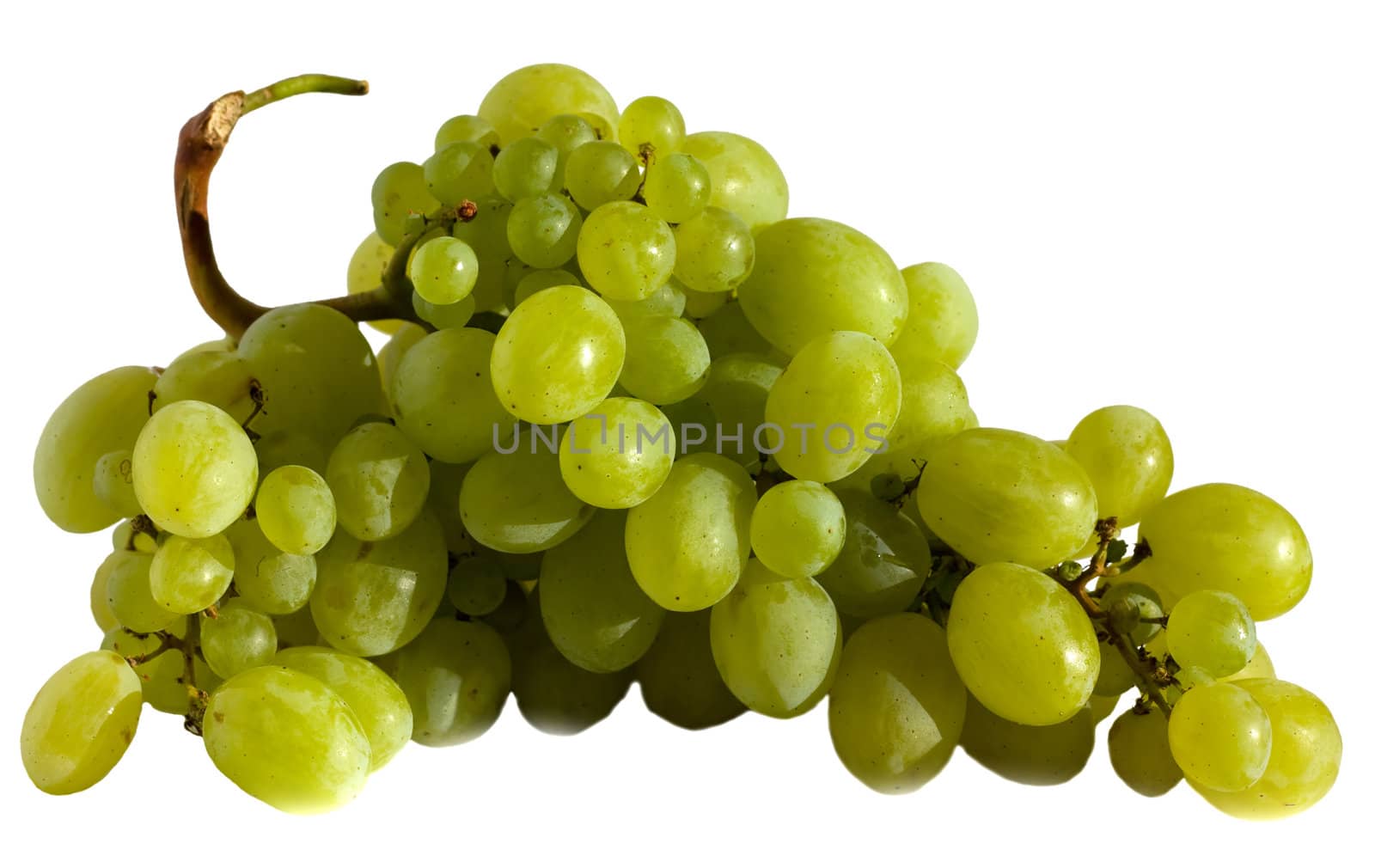 Grapes