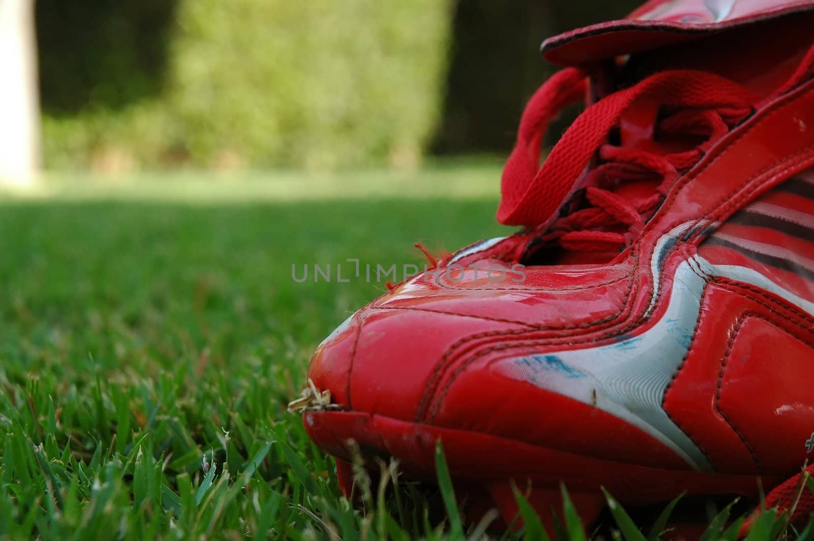 red soccer shoe