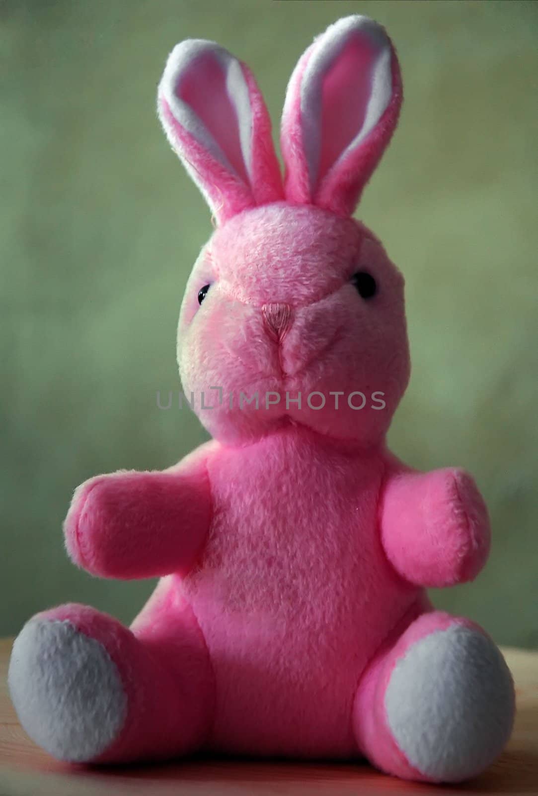 pink bunny background