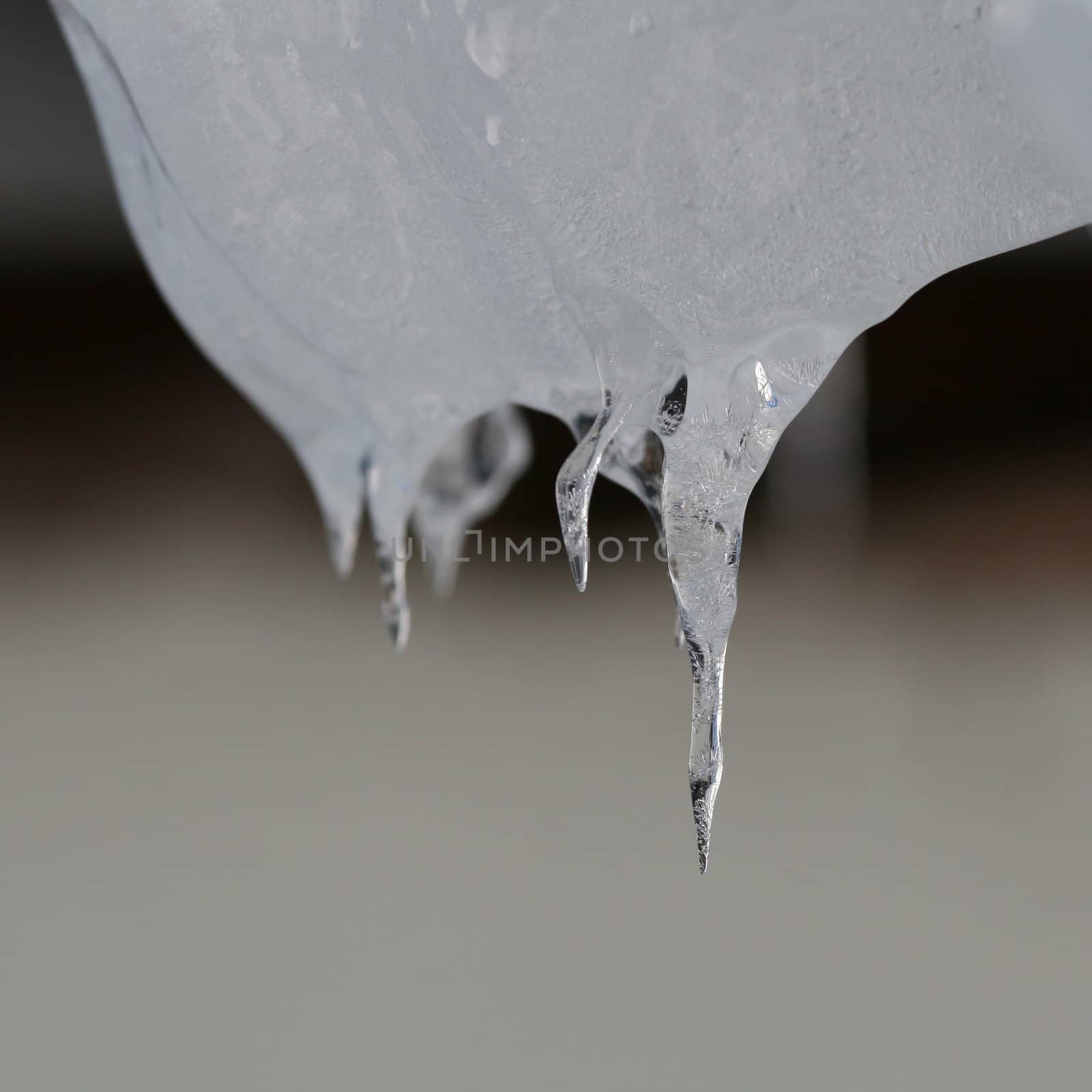 Close view of wonderful icicles