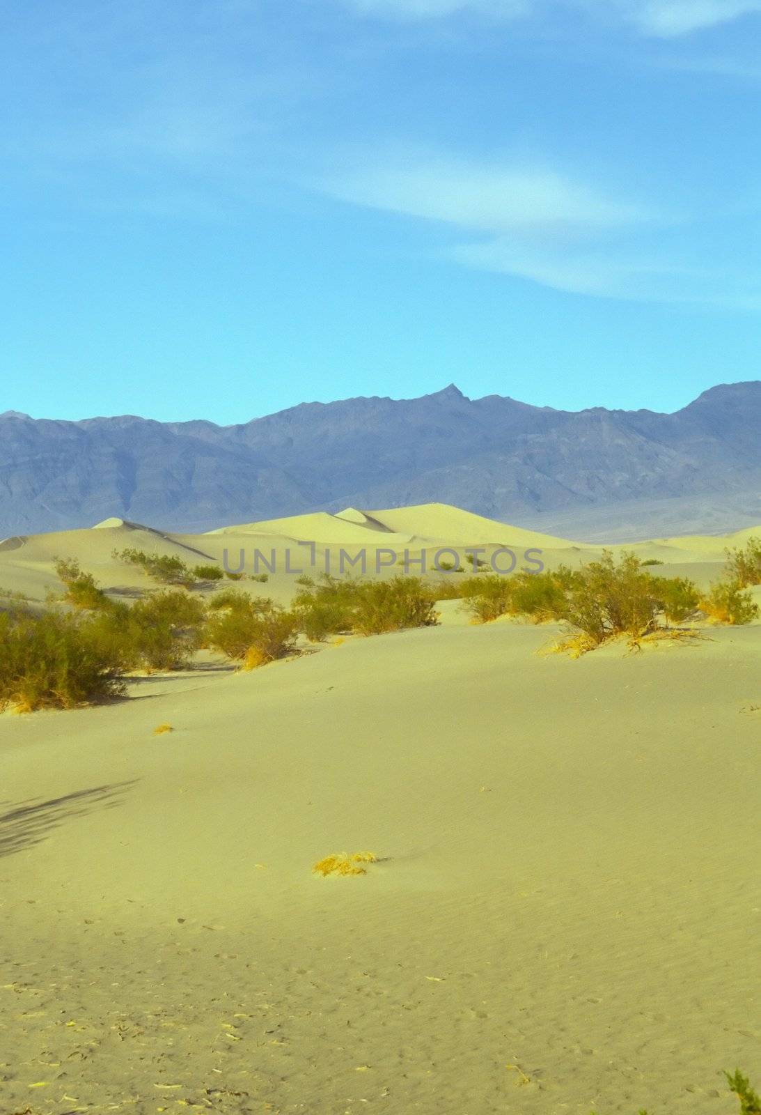 Stovepipe Wells Dunes, Tucki Mountain, and morning clouds, Death Valley National Park, California. After shooting early farther out in the dunes, I encountered this scene while starting my hike back to my car. When I first arrived here the sand was almost entirely in shadow, with only a few of the taller waves beginning to catch the sun. I composed a shot and waited as the sun light gradually began to come over a low ridge to the left, lighting up the sand - and as the band of clouds moved into position over Tucki Mountain, as if on