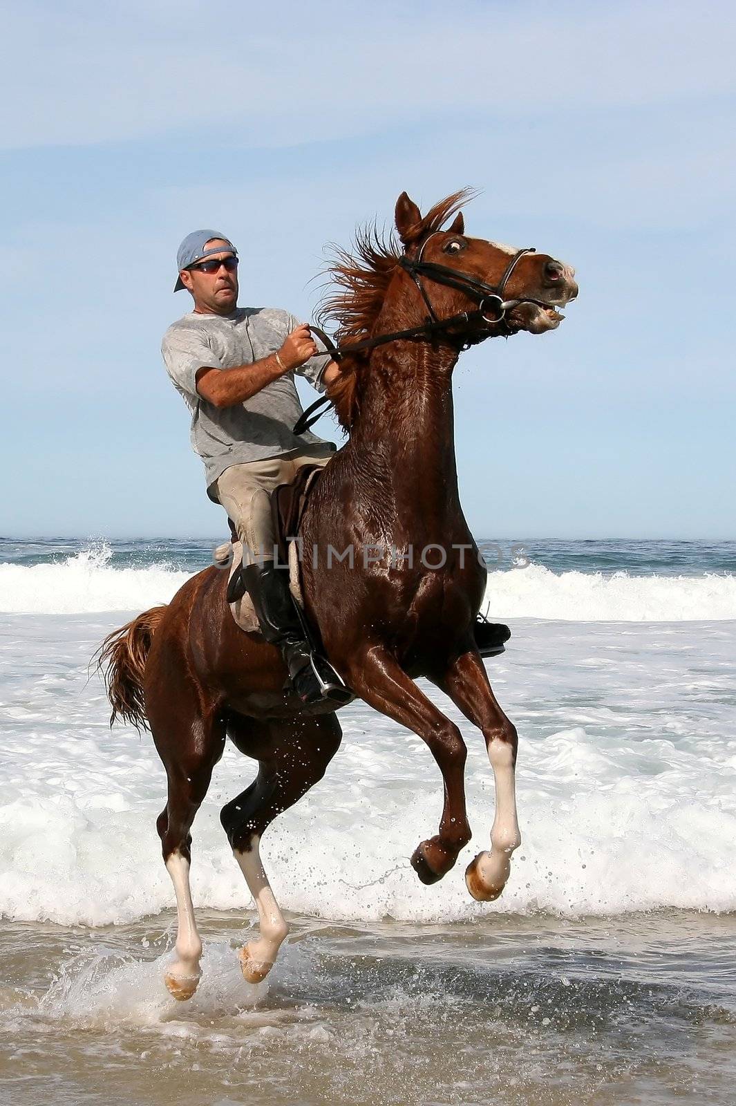 Jumping horse and rider in the water at the beach