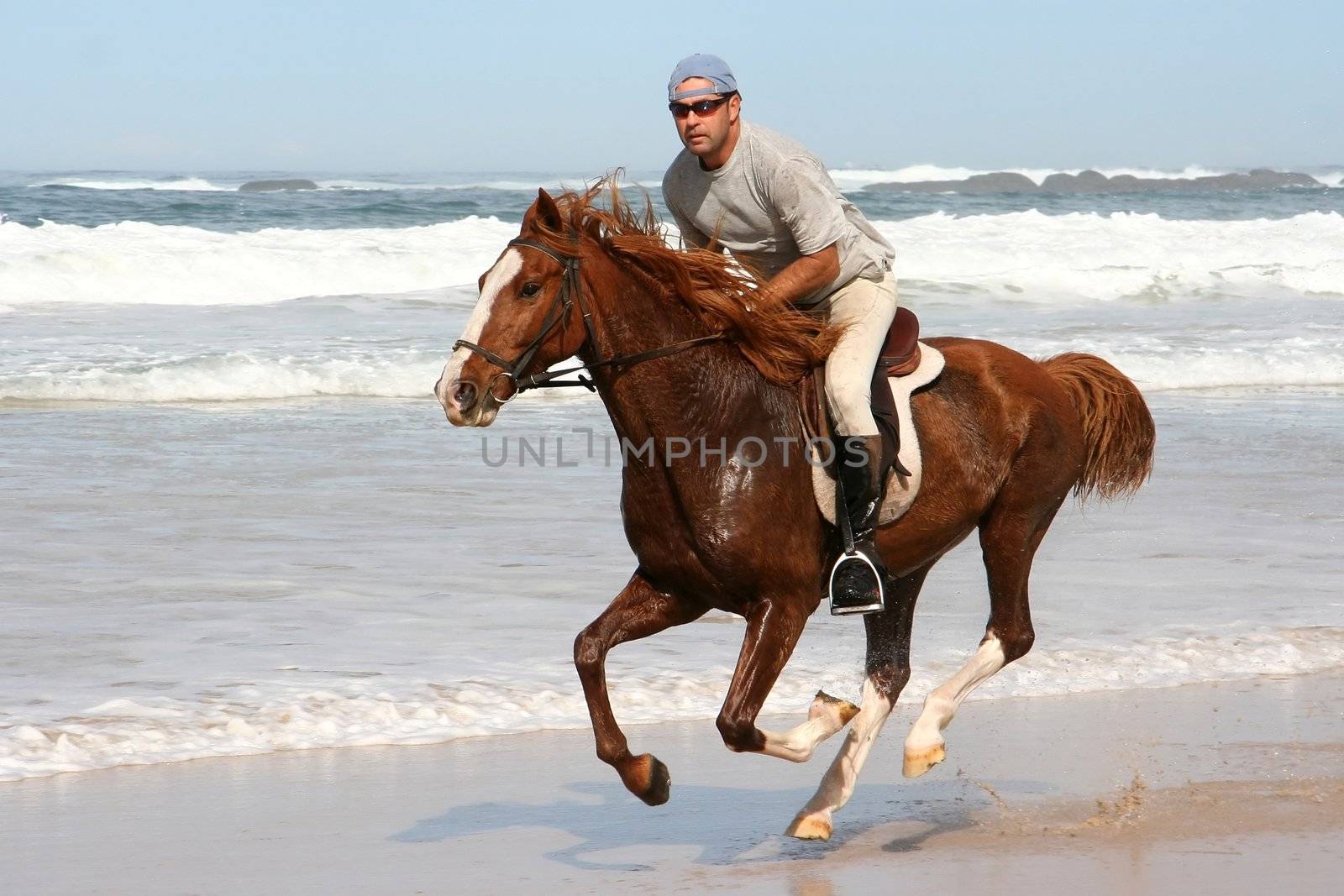 Galloping brown horse and rider at the beach