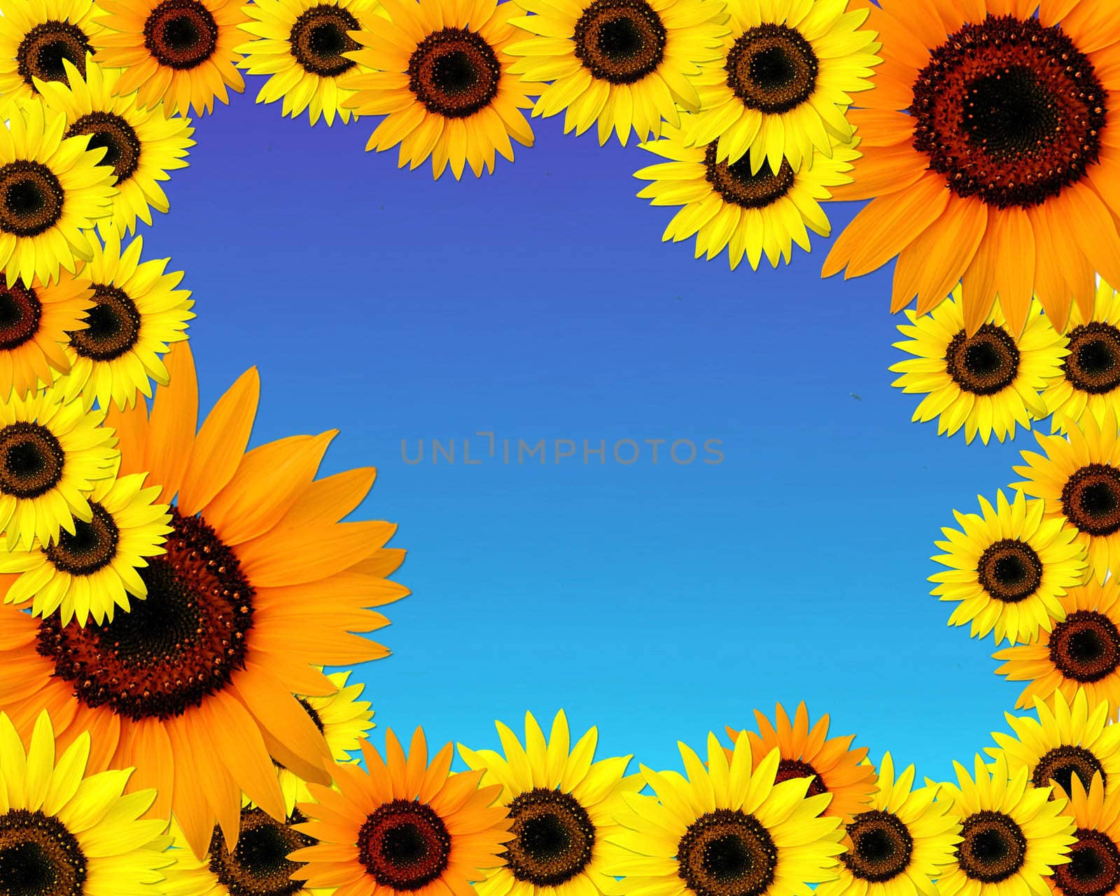 Sunflowers frame with place for you text