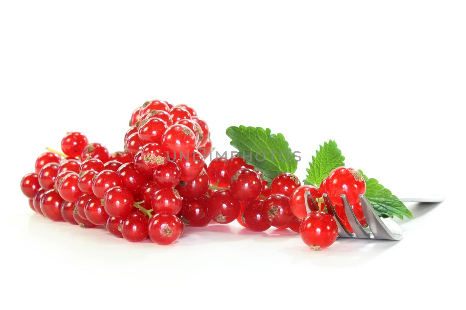 fresh red currants on a white background
