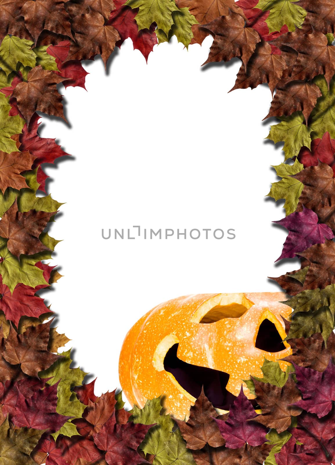 halloween pumpkins on white background with fall leaves frame