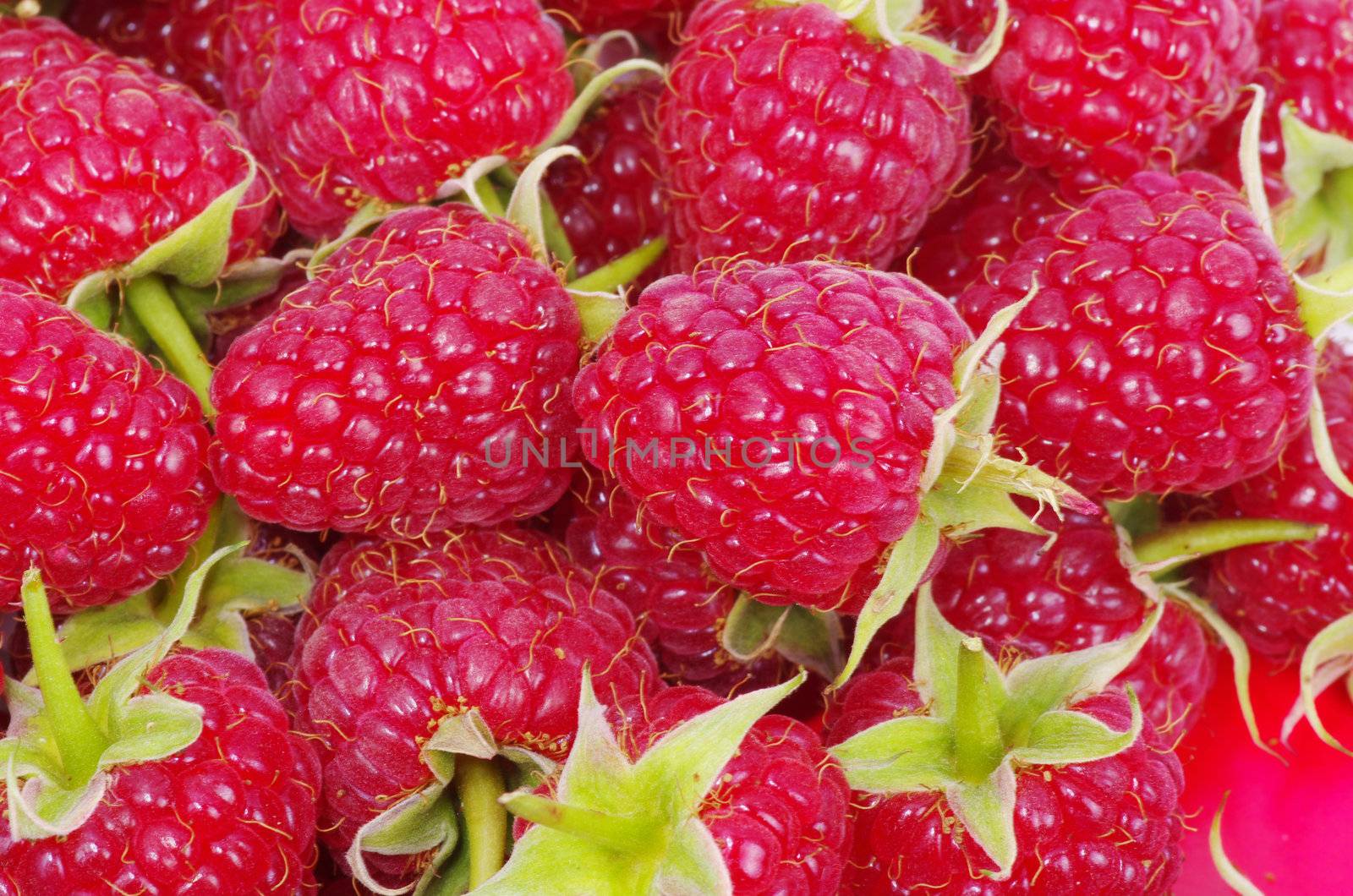 sweet fresh raspberry close up