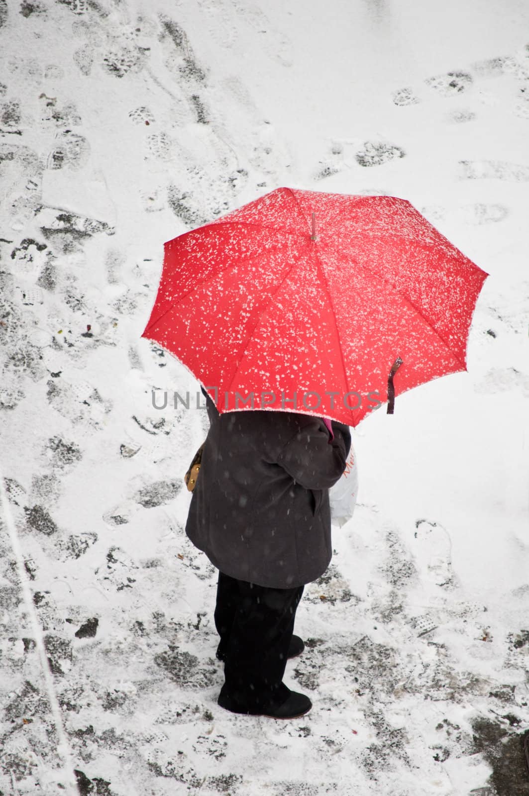 Woman on snowy day with red umbrella by sil
