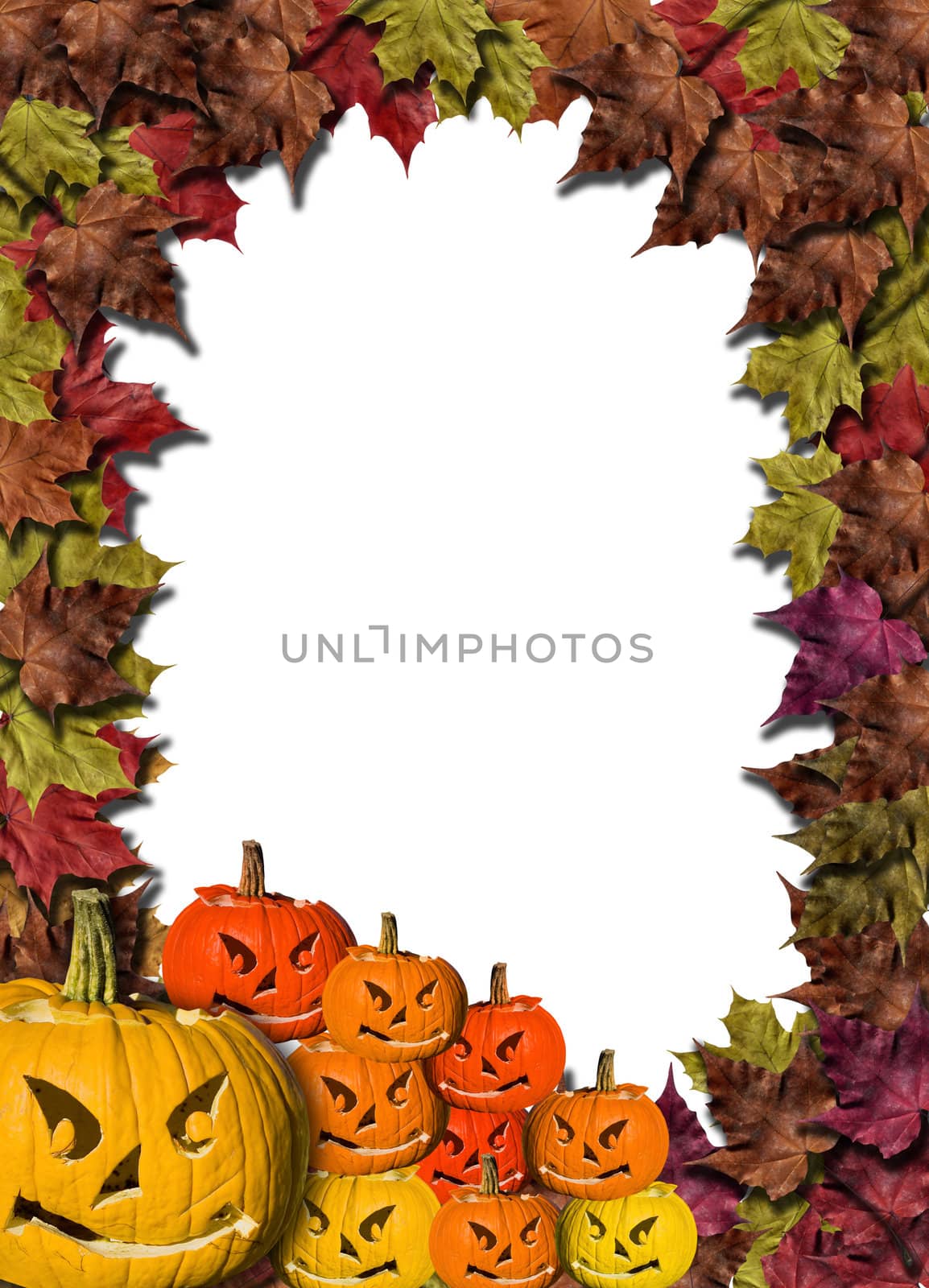 halloween pumpkins on white background with fall leaves frame  by rufous