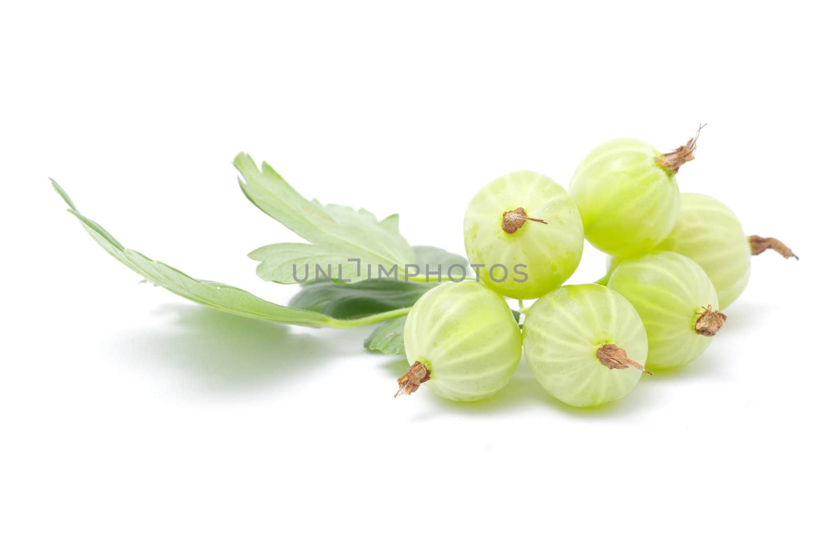 Green gooseberry fruit on white