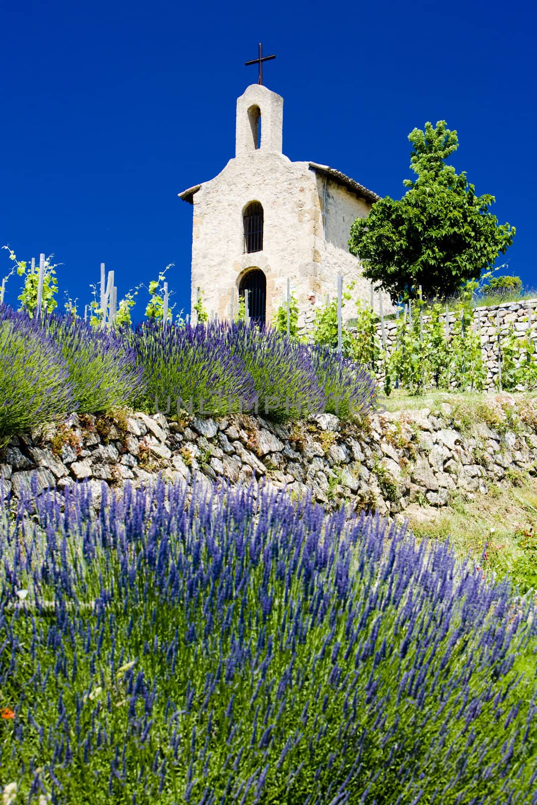 Chapel of St. Christopher, L�Hermitage, Rhone-Alpes, France by phbcz