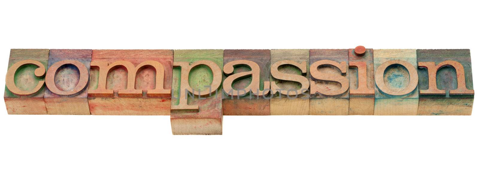 compassion  - isolated word in vintage wood letterpress printing blocks