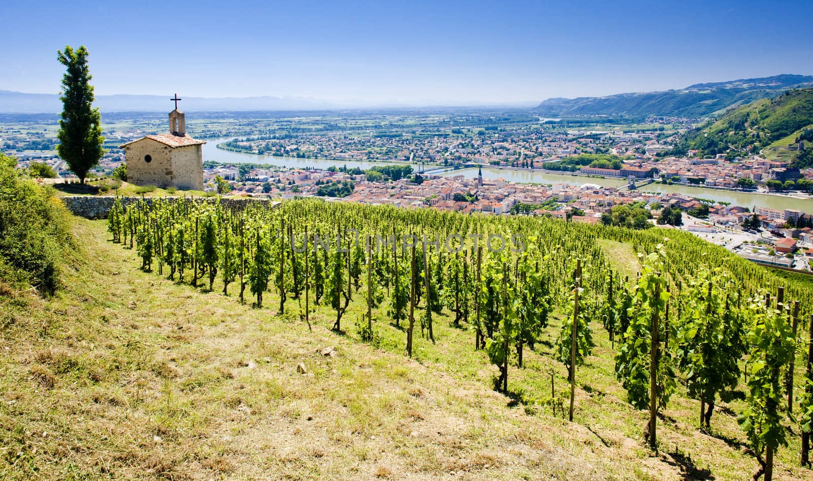 grand cru vineyard and Chapel of St. Christopher, L�Hermitage, Rhone-Alpes, France