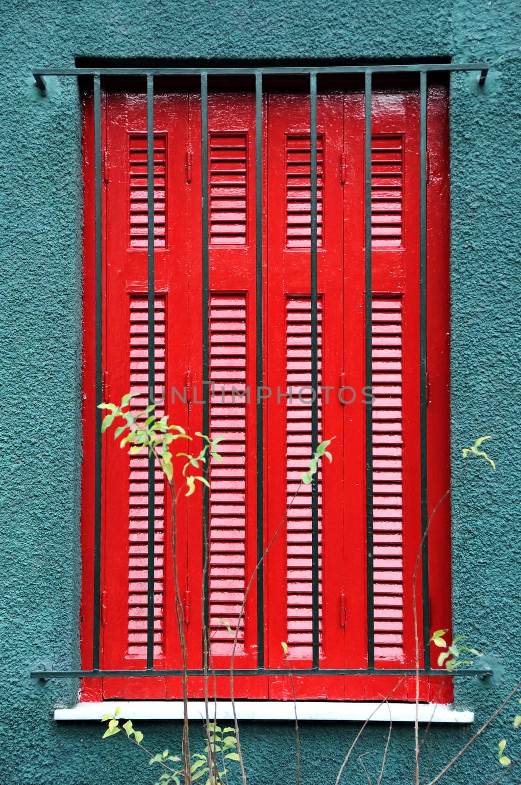 Red wooden window shutter and protective metal bars.