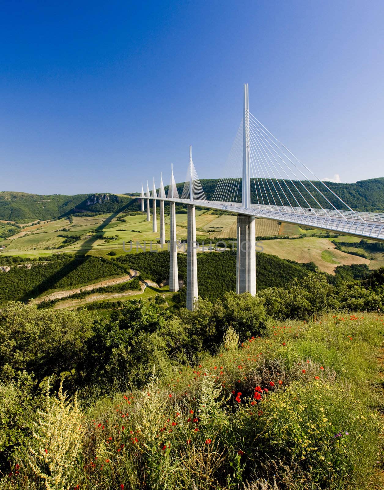 Millau Viaduct, Aveyron D�partement, France by phbcz