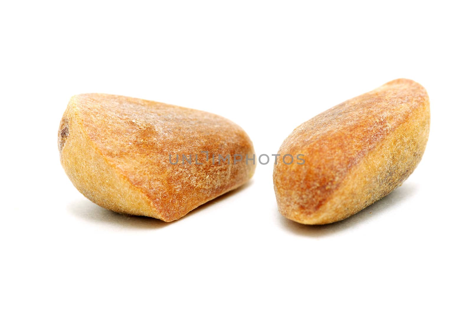 Brown cedar nuts fruit on white background