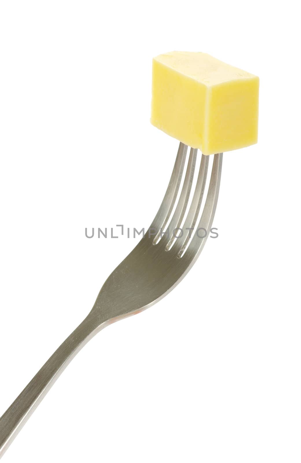 cheese on fork isolated on white background