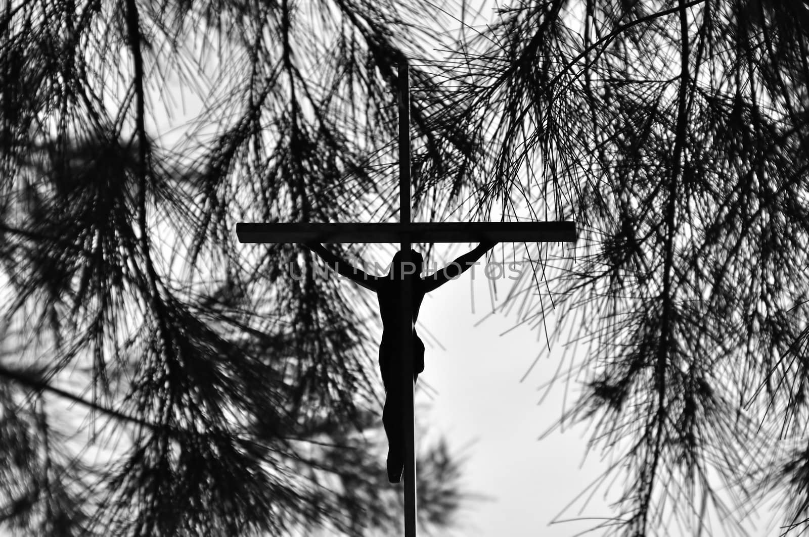 Jesus Christ on the cross silhouette with tree branches on the background.