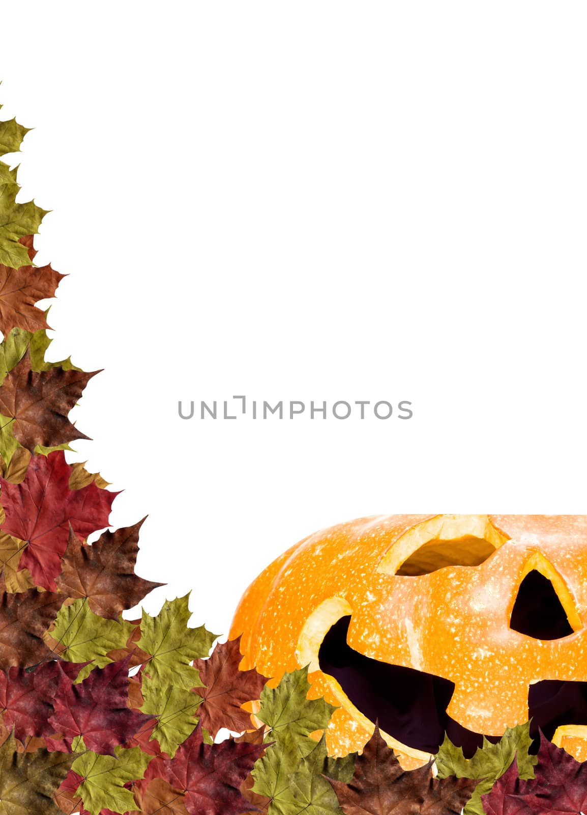 halloween pumpkins on white background with fall leaves frame  by rufous