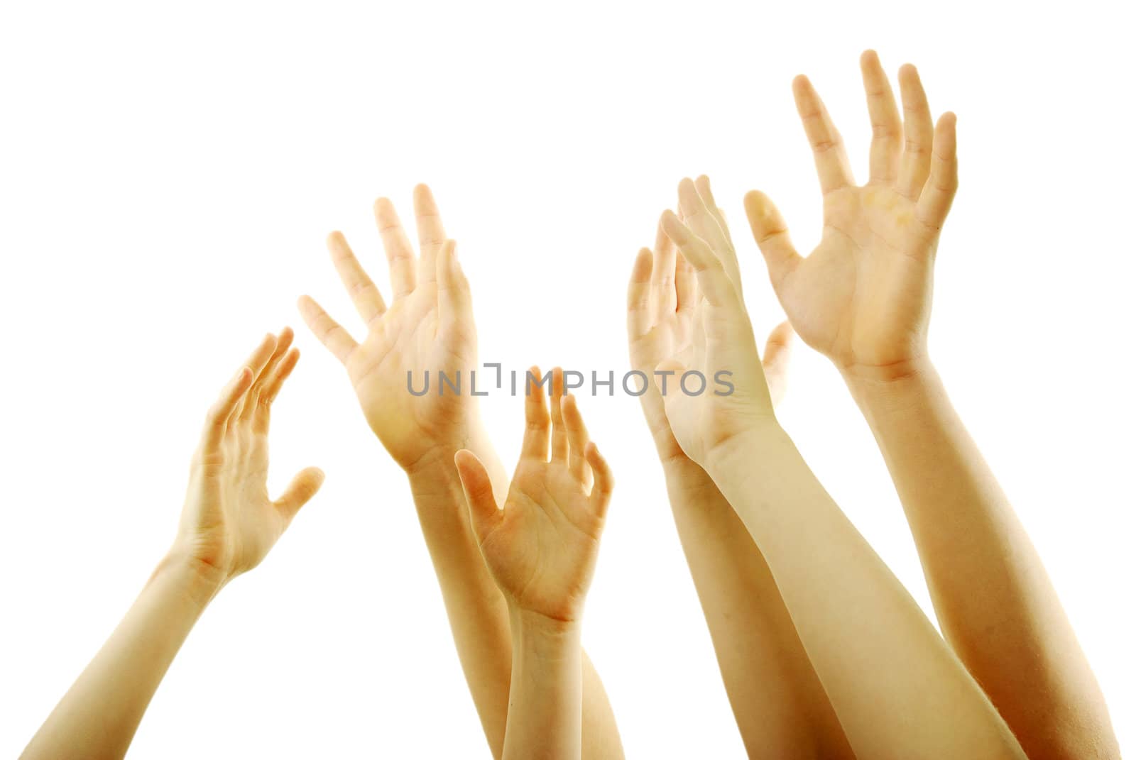 Many hand lifted up on white background