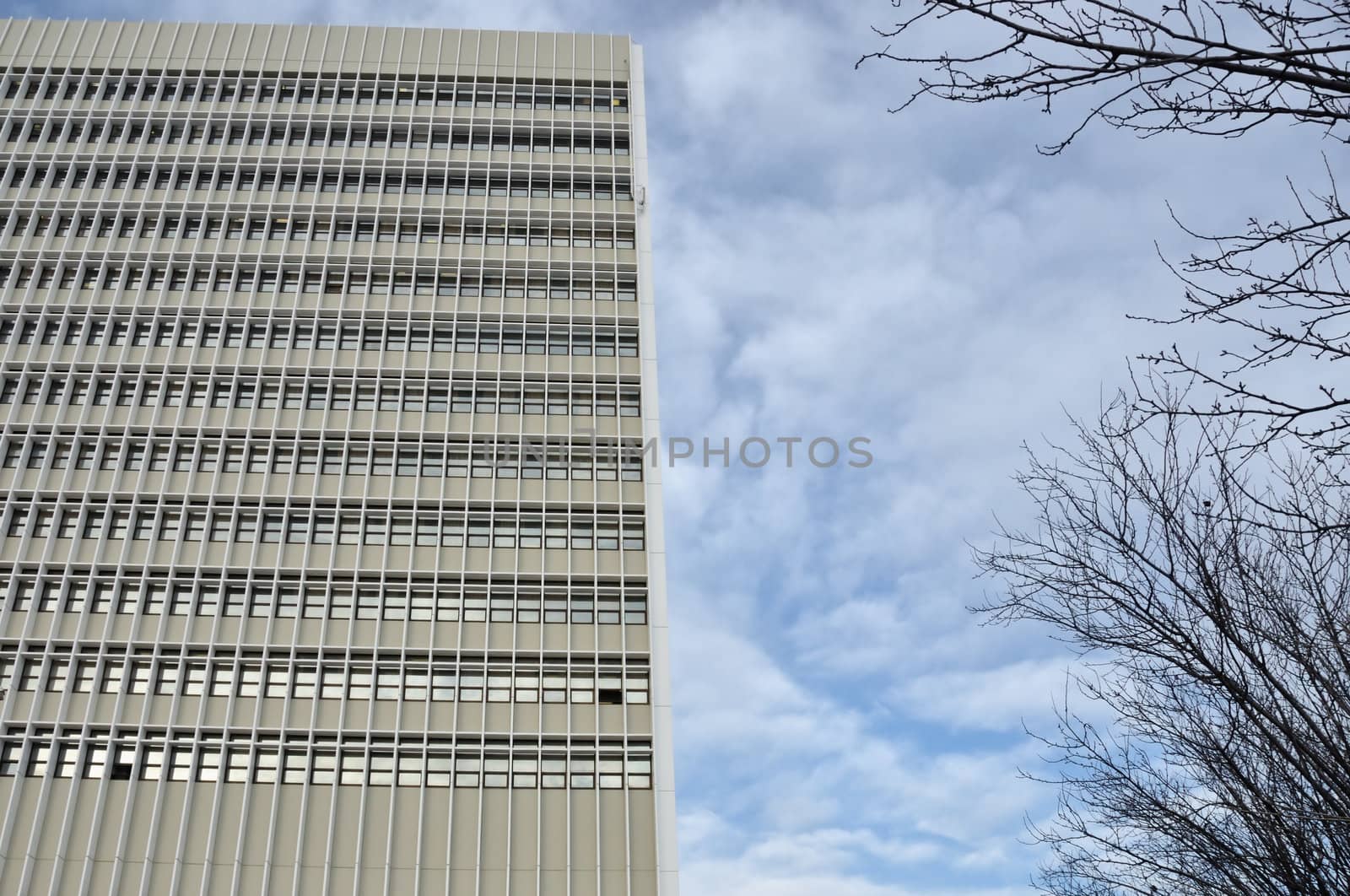 High-rise office building. Abstract modern architecture background.