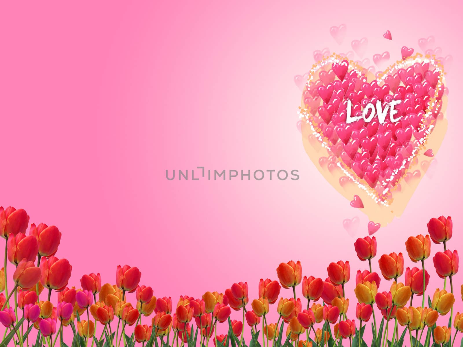 Tulips on pink background. Clipping path