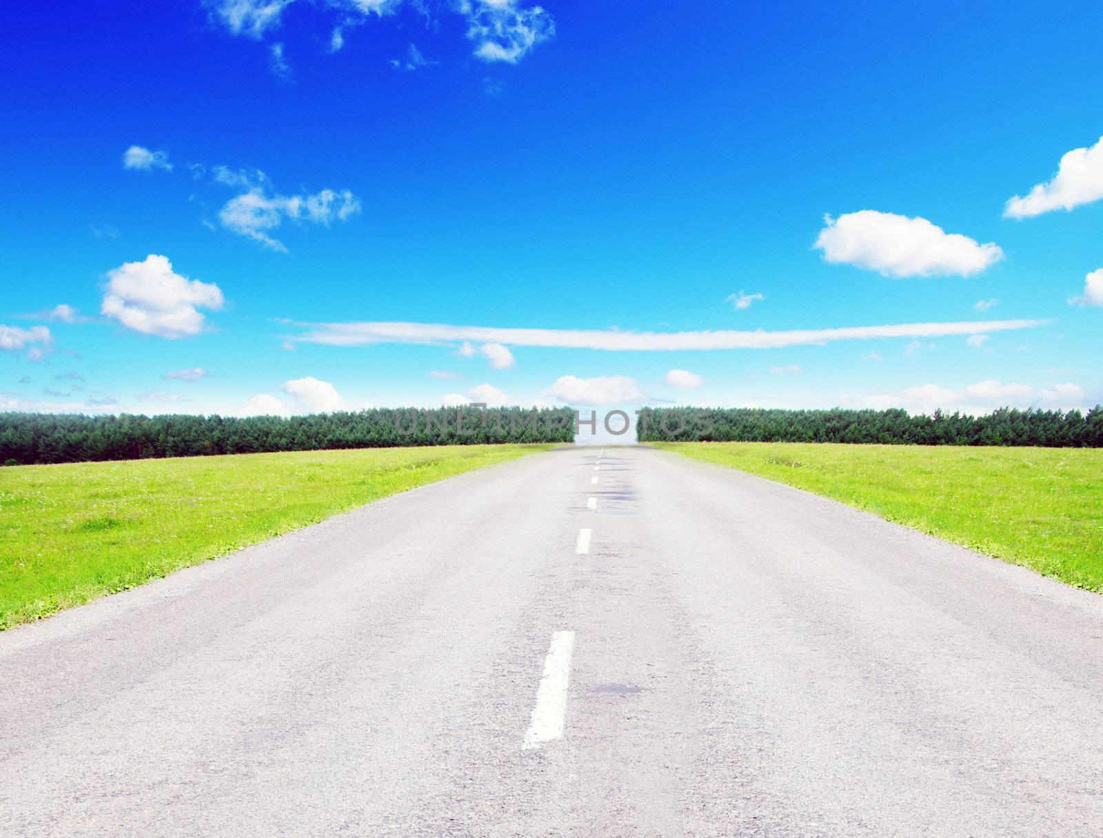 green field and along  road