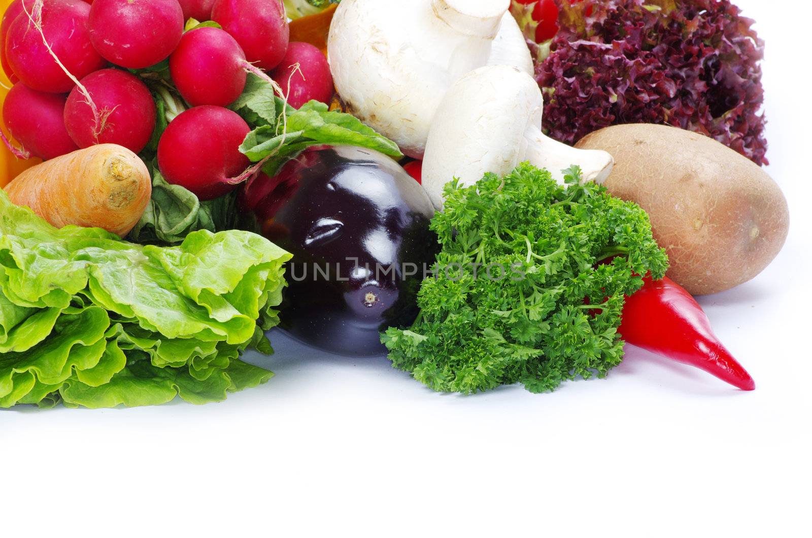  vegetables on the white background