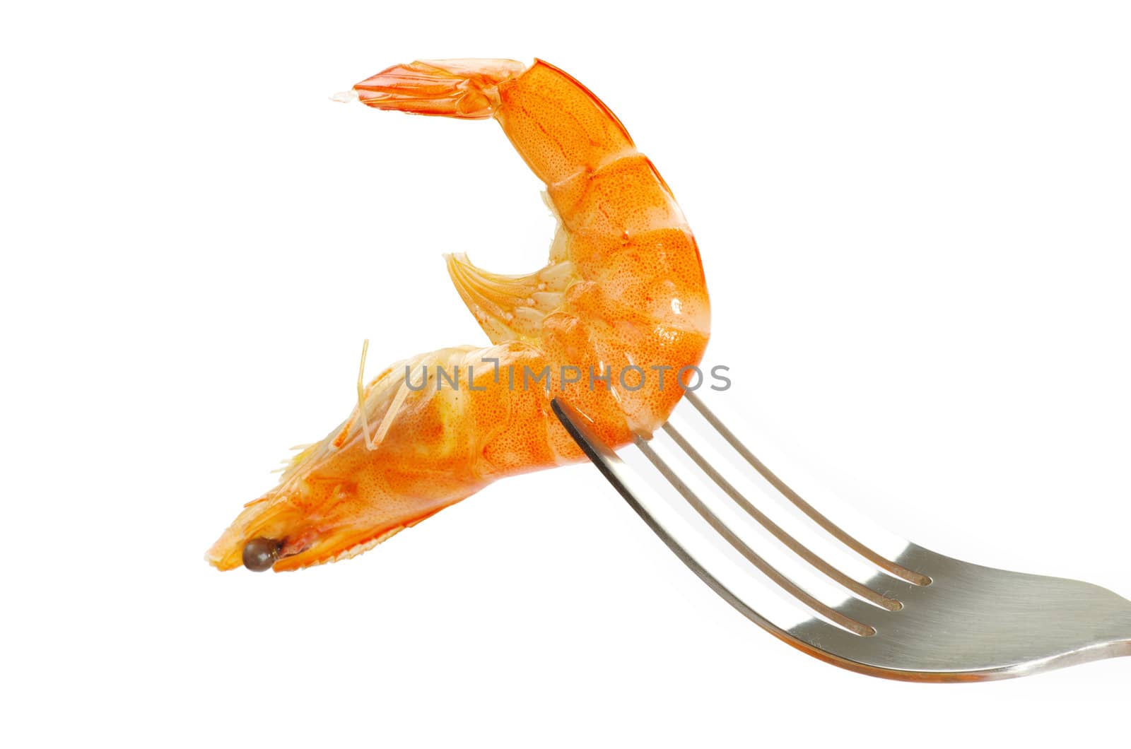 Shrimp on fork over white background
