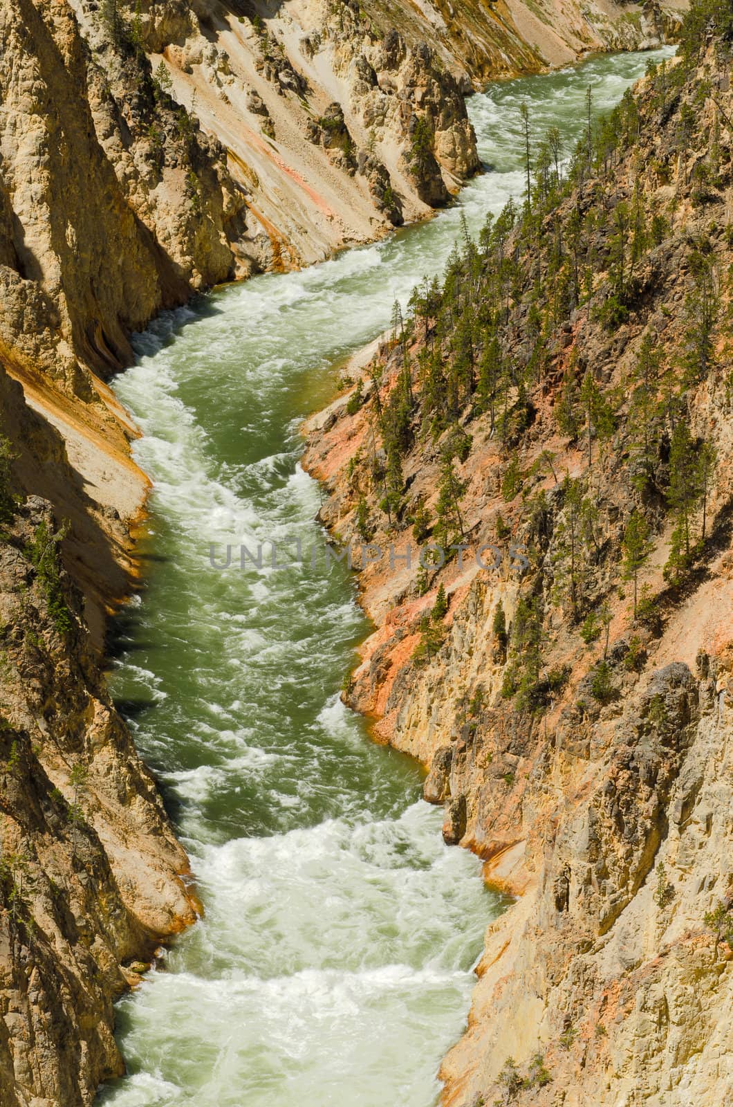 The Grand Canyon of the Yellowstone River, Yellowstone National Park, Park County, Wyoming, USA by CharlesBolin