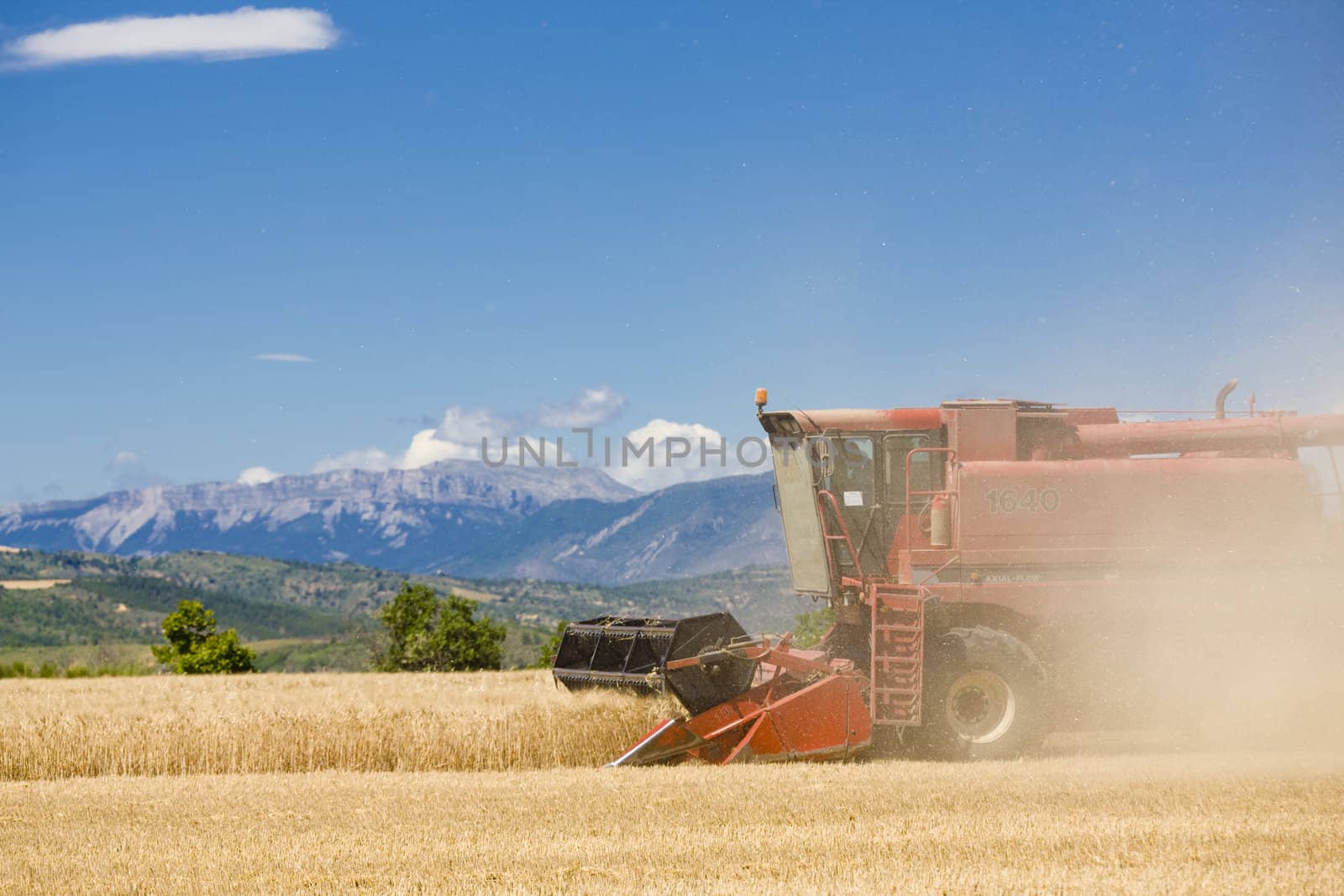 grain harvest, Alpes-de-Haute-Provence Departement, France