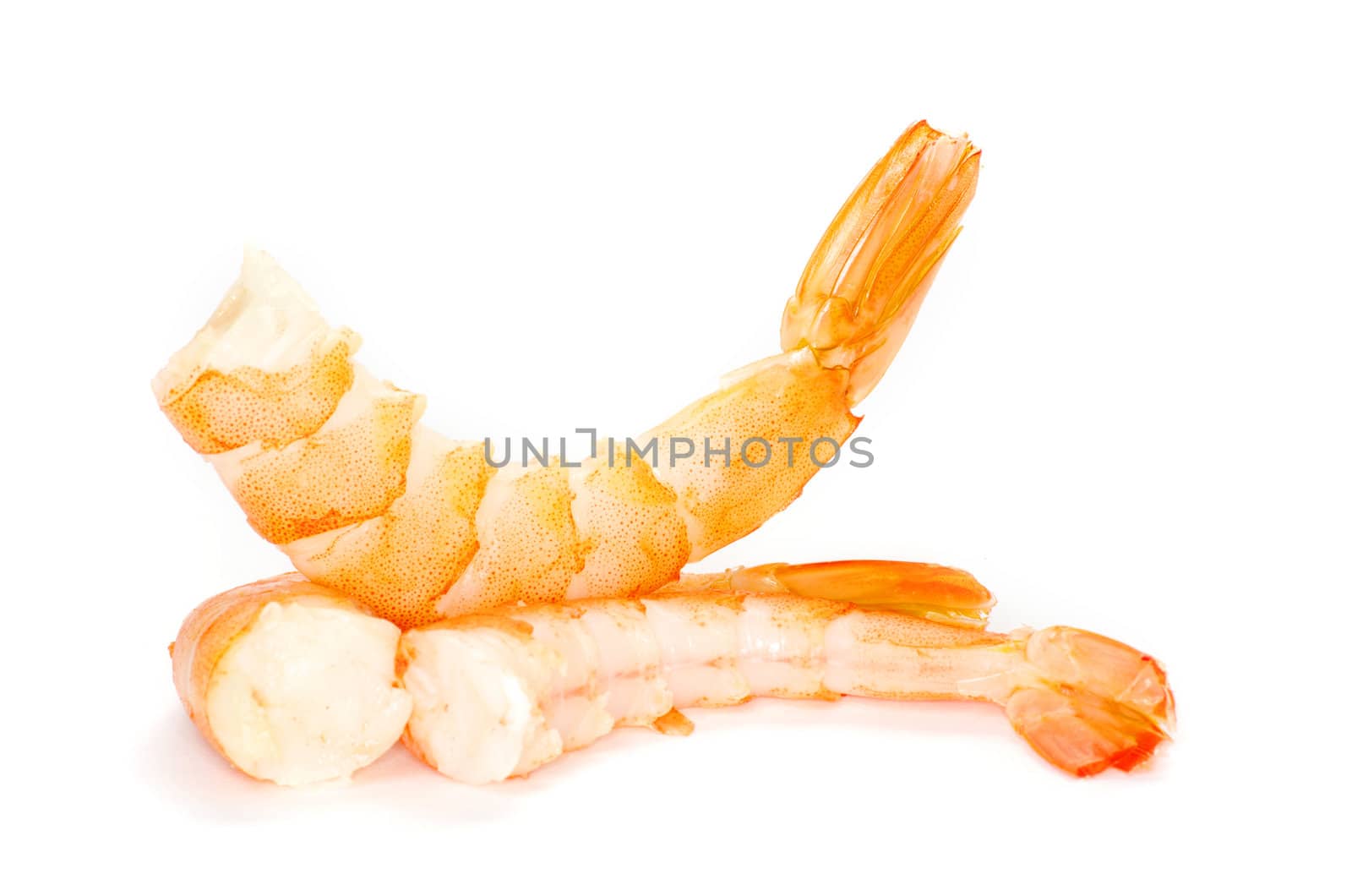 shrimp isolated ona white background