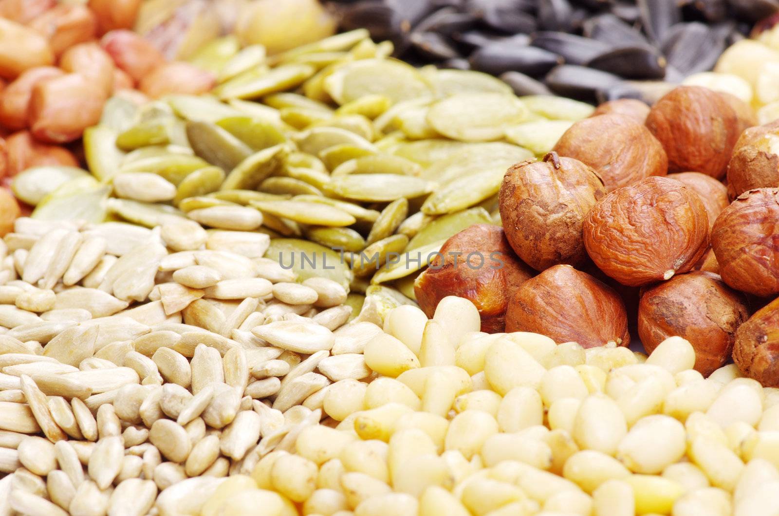  seeds and nuts with collection
