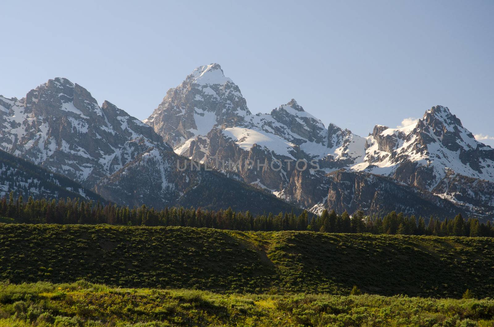 The Grand Teton Range, seen from Moose-Wilson Road, Grand Teton National Park, Teton County, Wyoming, USA