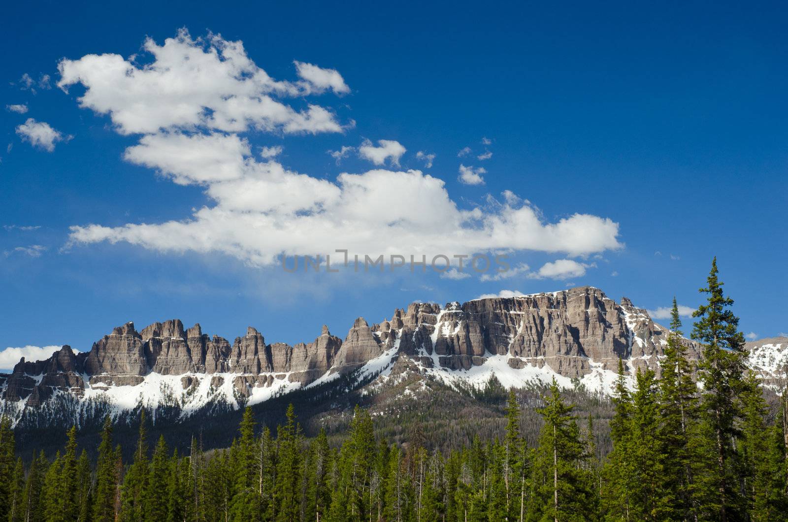 The Pinnacle Buttes and coniferous forest, Bridger-Teton National Forest, Fremont County, Wyoming, USA by CharlesBolin