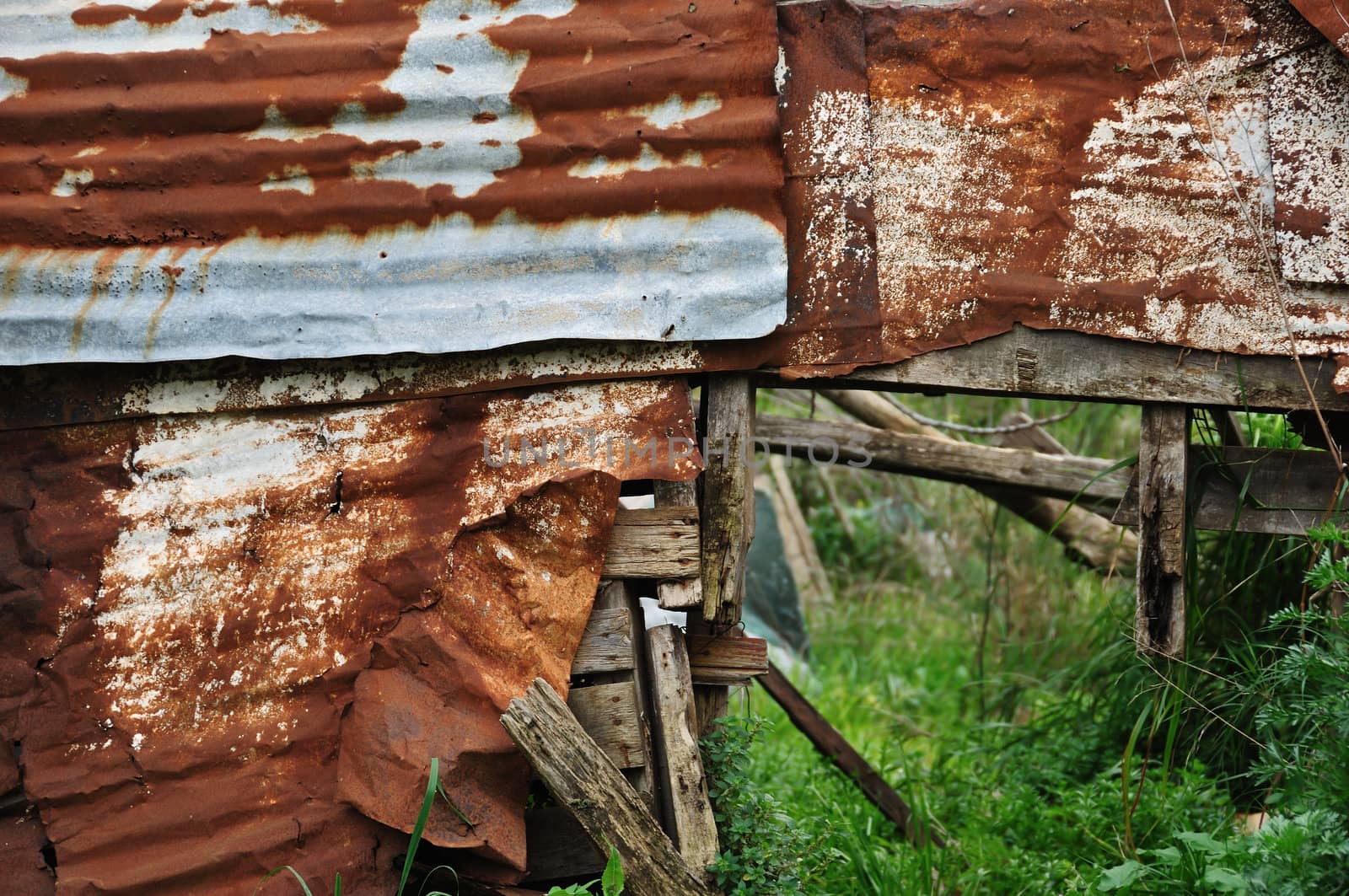 Country shack ruins covered by rusty aluminum sheeting.
