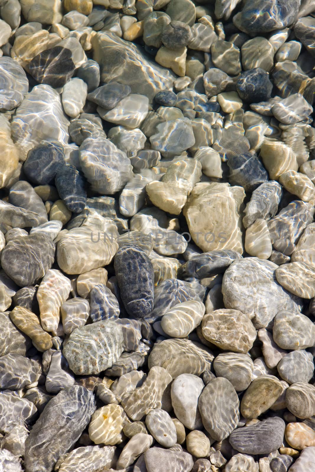 stones in river