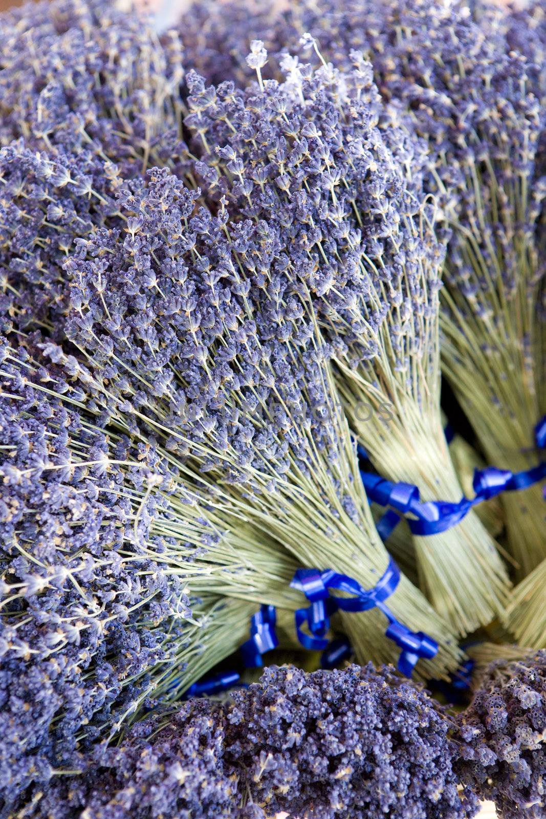 bunches of lavenders, street market in Salles-sur-Verdon, Provence, France