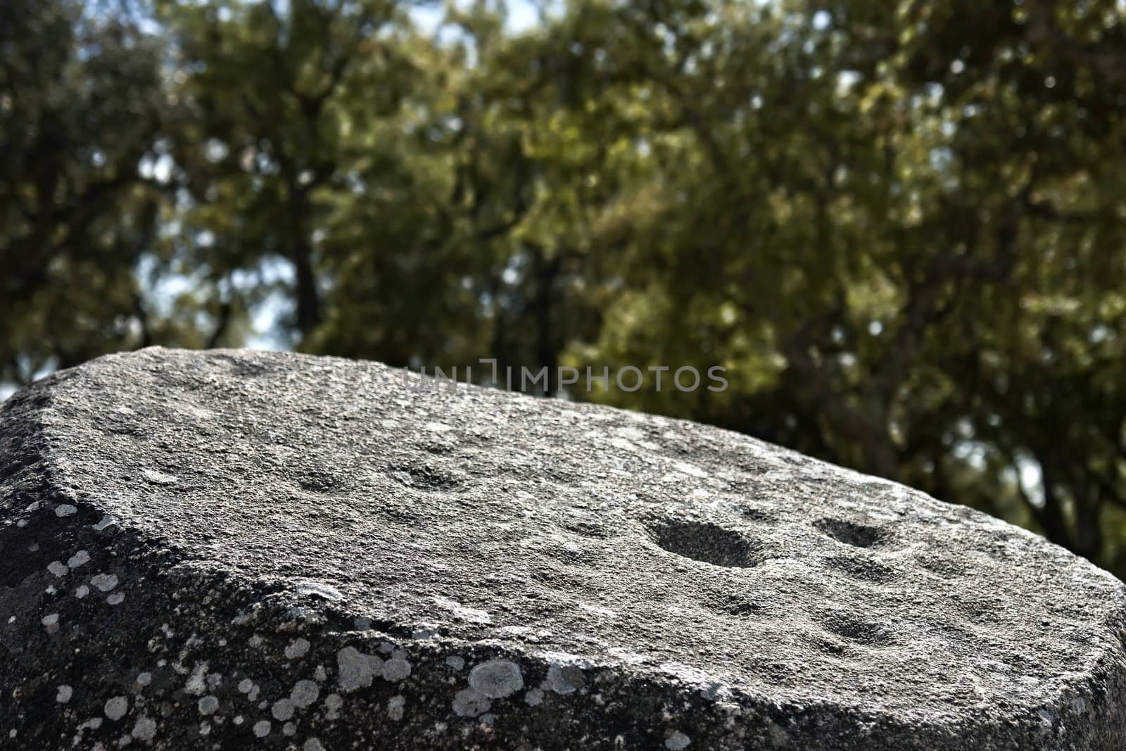 Decorated menhir in megalithic monument of Cromelech dos Almendres - Evora -Portugal