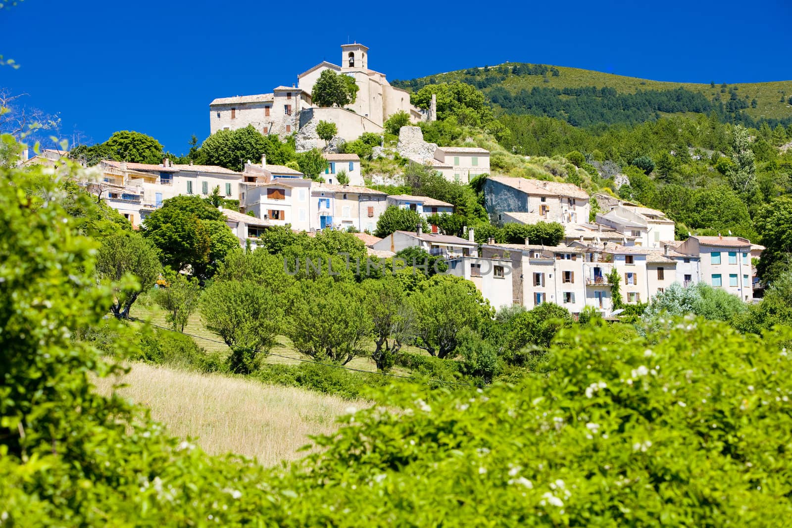 Saint Jurs, Provence, France