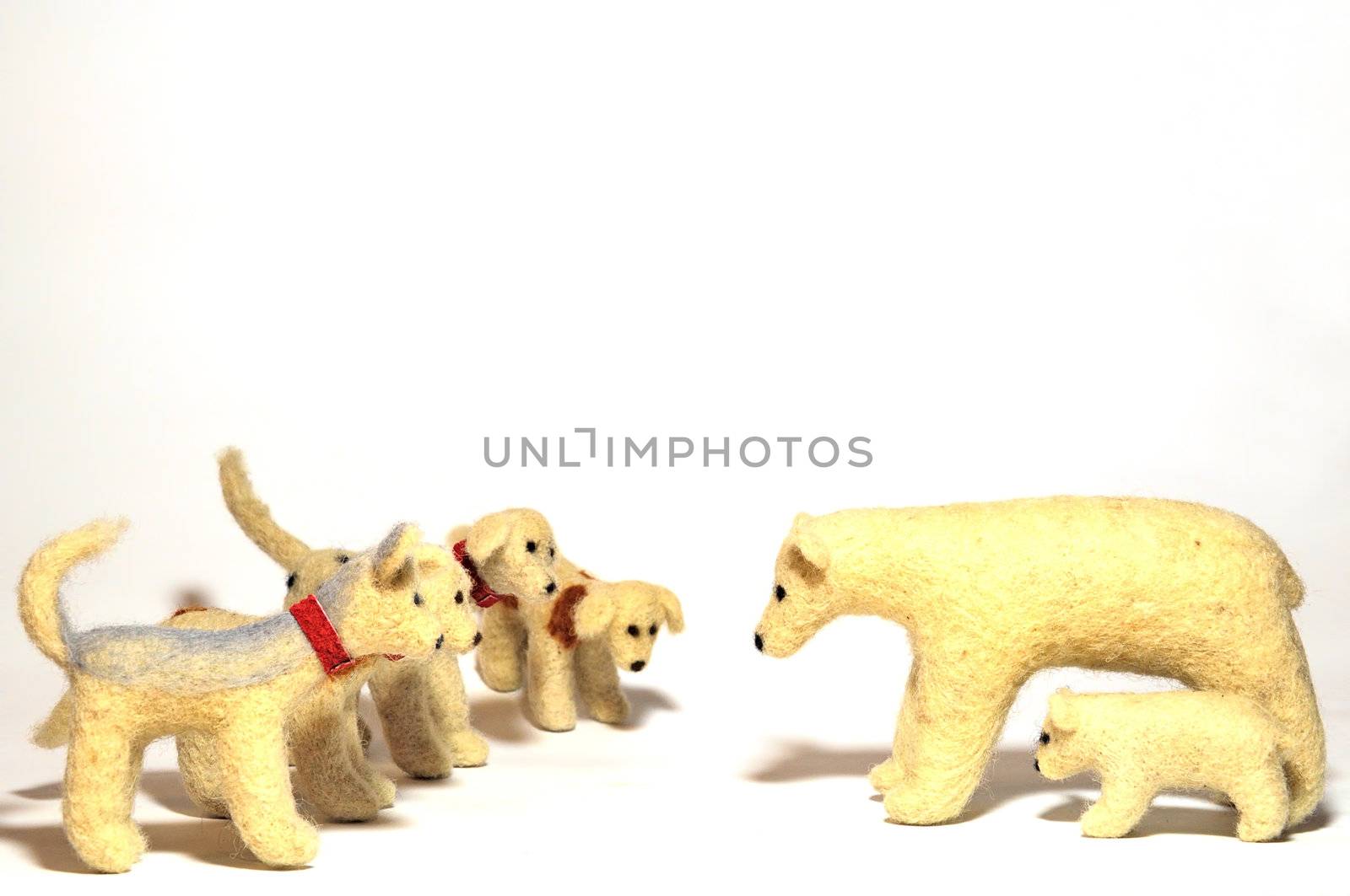 stuffed animals, dogs attacking a bears, close-up