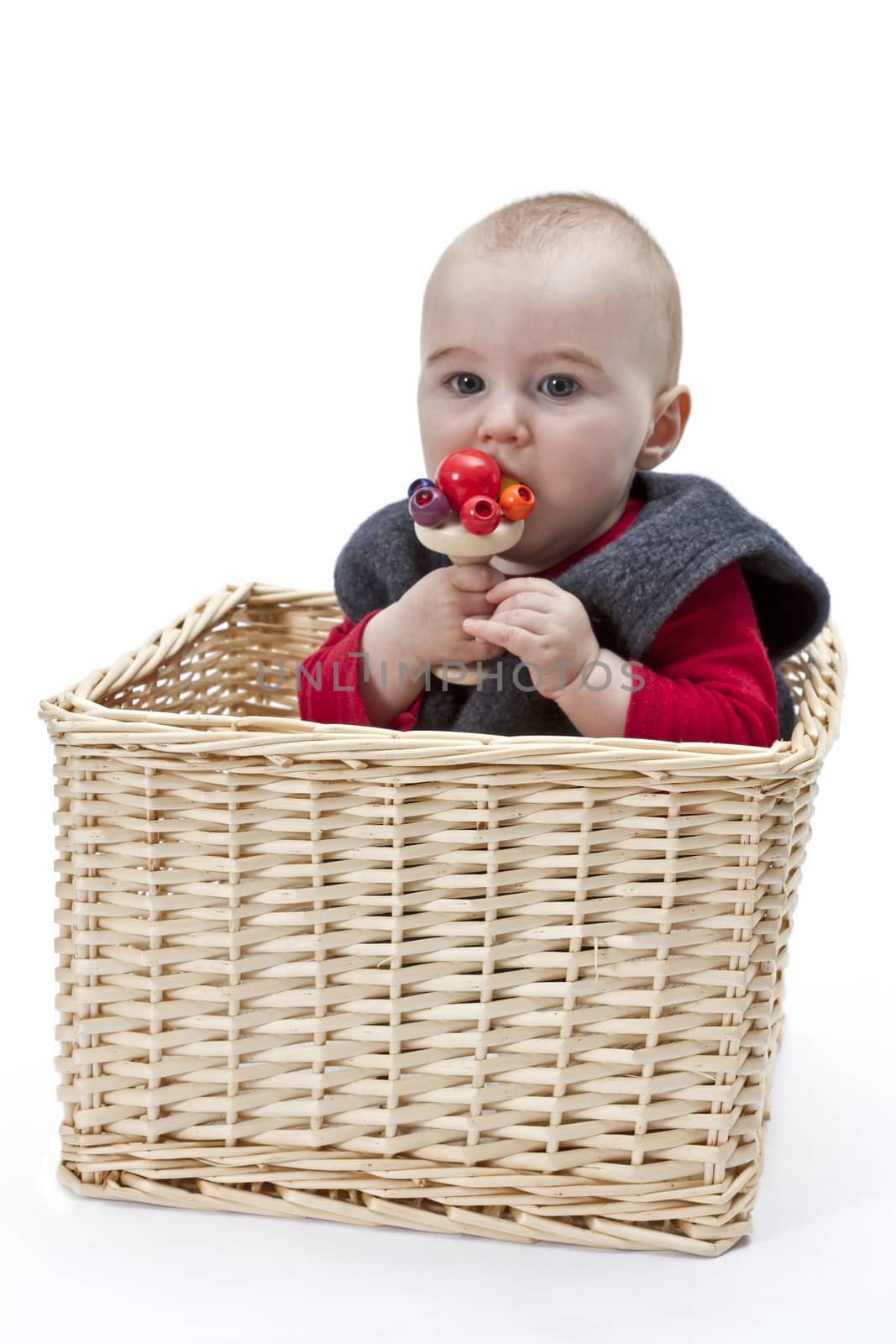 toddler in wickerbasket by gewoldi