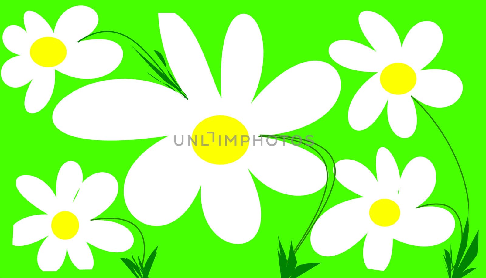 a lot of flowers on green background